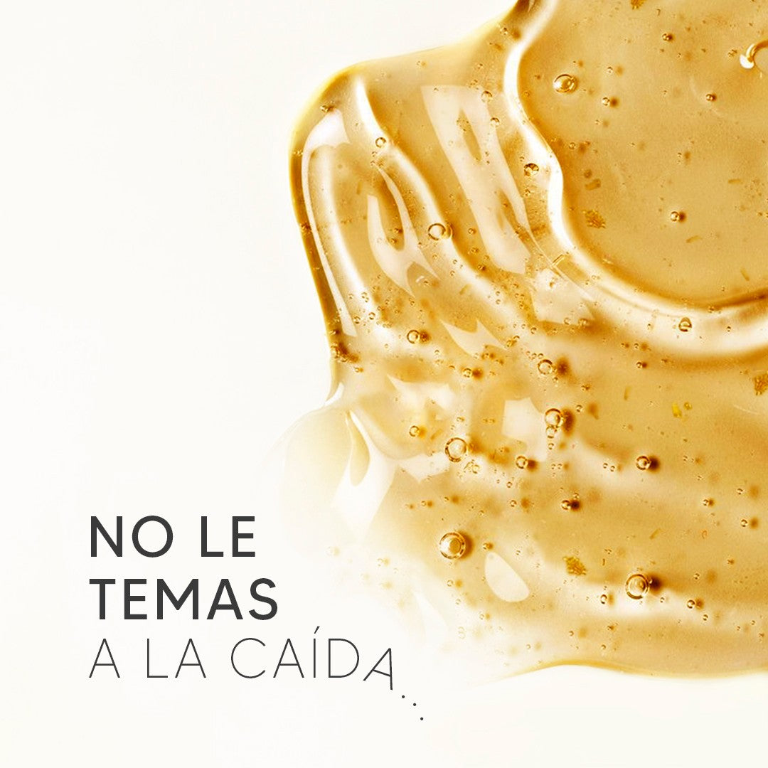 Shampoo Fortalecedor Sin Sulfato Z Ginger 500ml