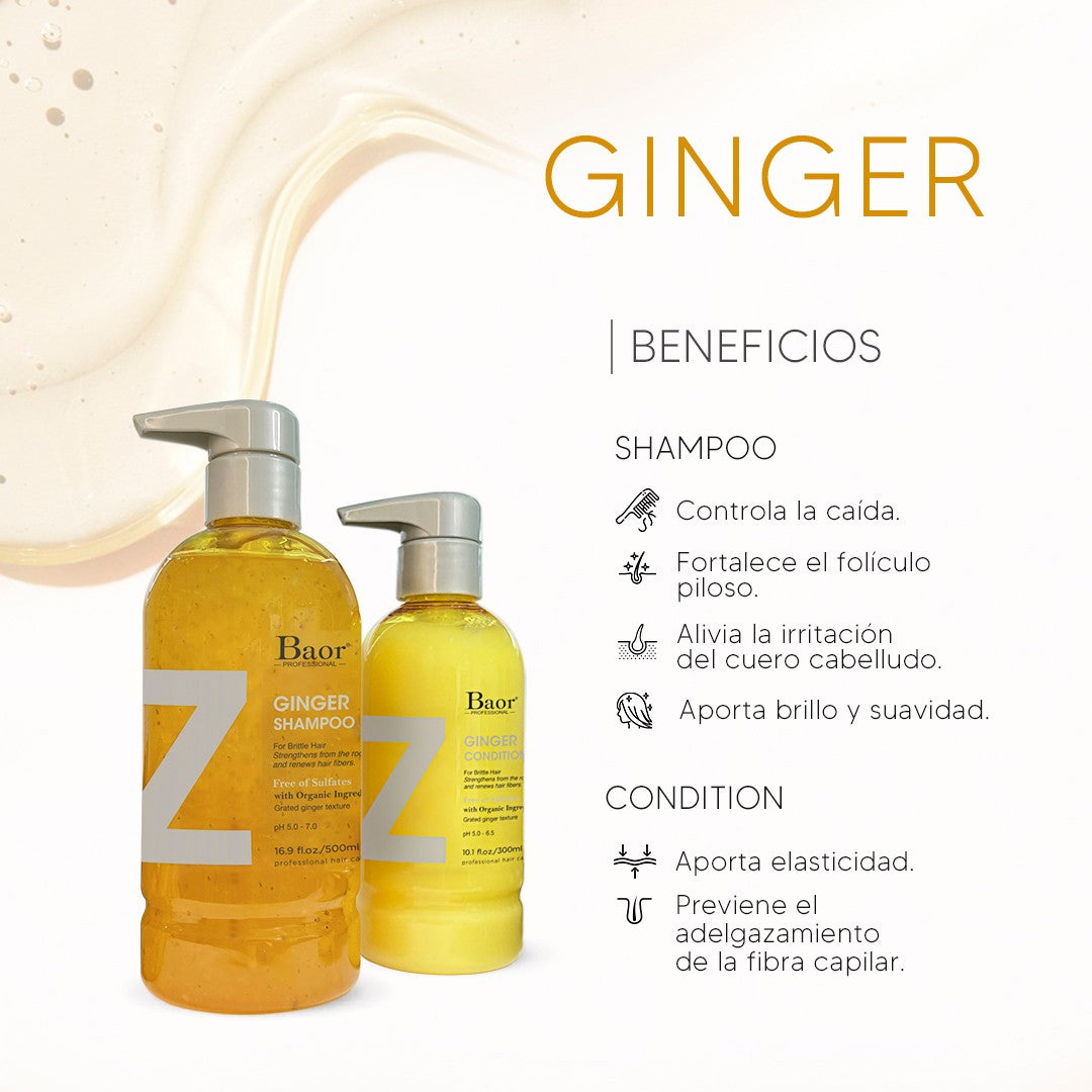 Shampoo Fortalecedor Sin Sulfato Z Ginger 500ml