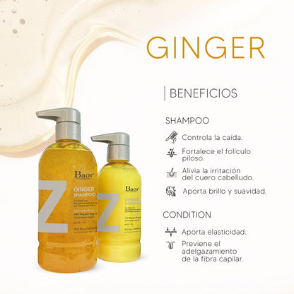 Shampoo Fortalecedor Sin Sulfato Z Ginger 500ml