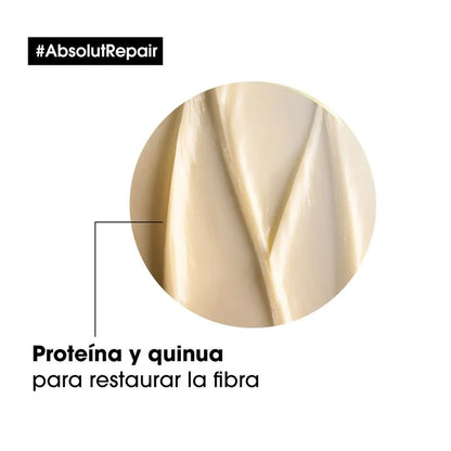 Mascarilla para Cabello Dañado Absolut Repair 250 ml