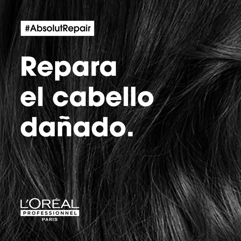 Mascarilla para Cabello Dañado Absolut Repair 250 ml