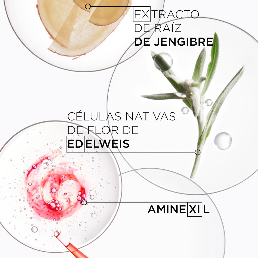 Shampoo Anticaída para Cabello Seco Nutri-Fortifiant Genesis 250ml