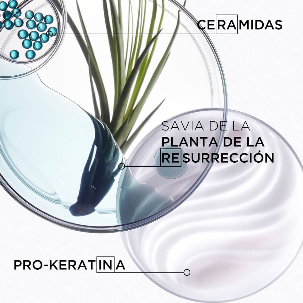 Mascarilla Reparadora Force Architecte 200ml